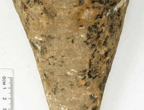 19-1263, Cippo funerario etrusco